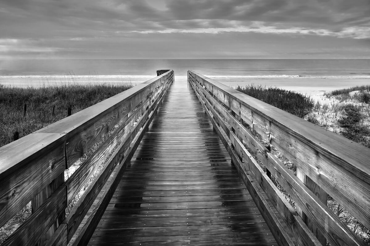 LowCountry in black and white - John McManus Photography